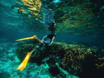 Italiani morti alle Maldive, l’ipotesi: “Uno in difficoltà, gli altri in soccorso”